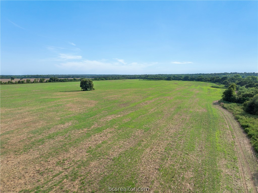 210.6-ac Black Bridge Road Calvert, TX 77837 - Photo 6 of 21 Gallery Image 6