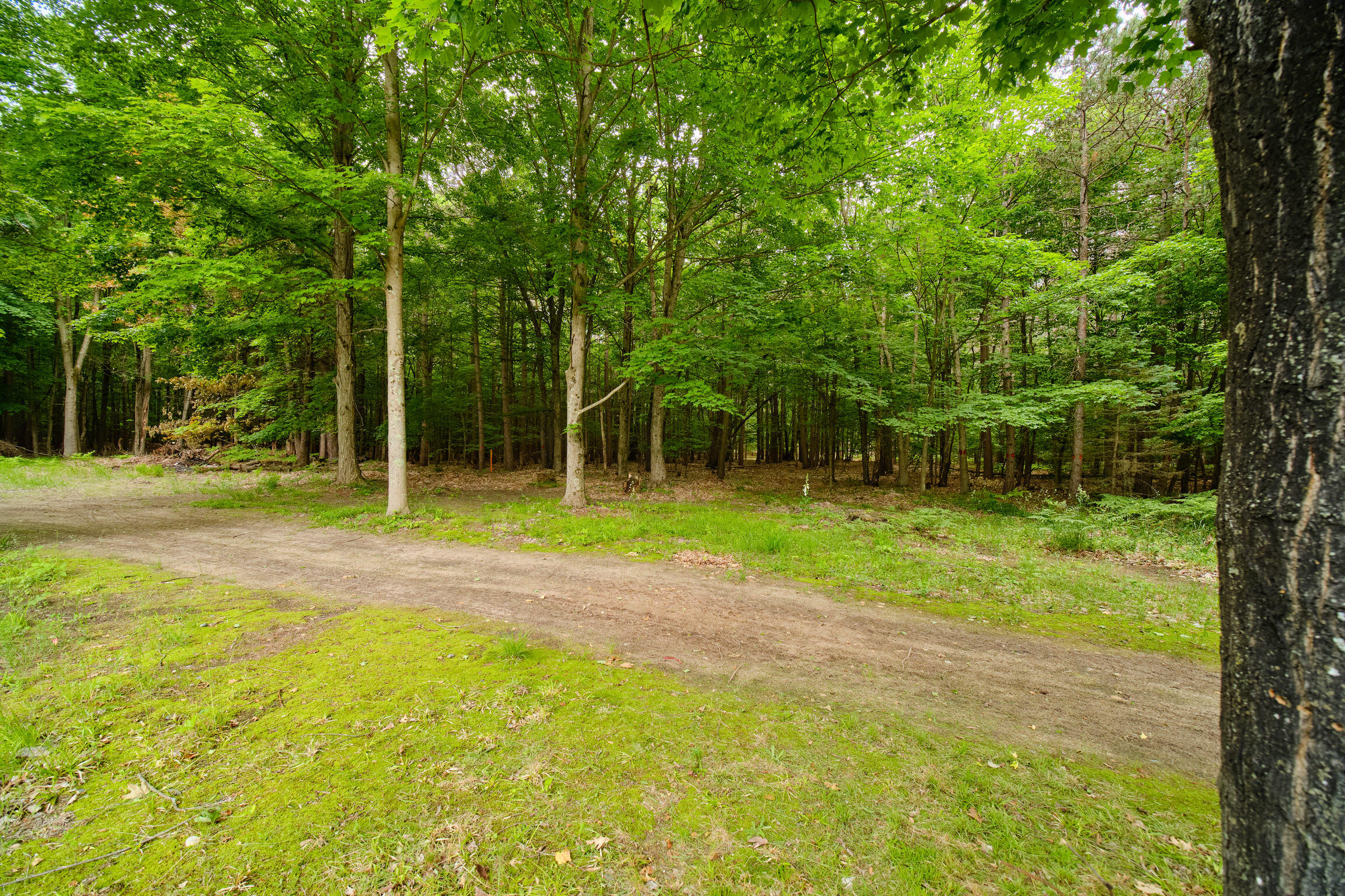 7529 North Quarterline Road Free Soil, MI 49411 - Photo 52 of 69 Drive to Canopy