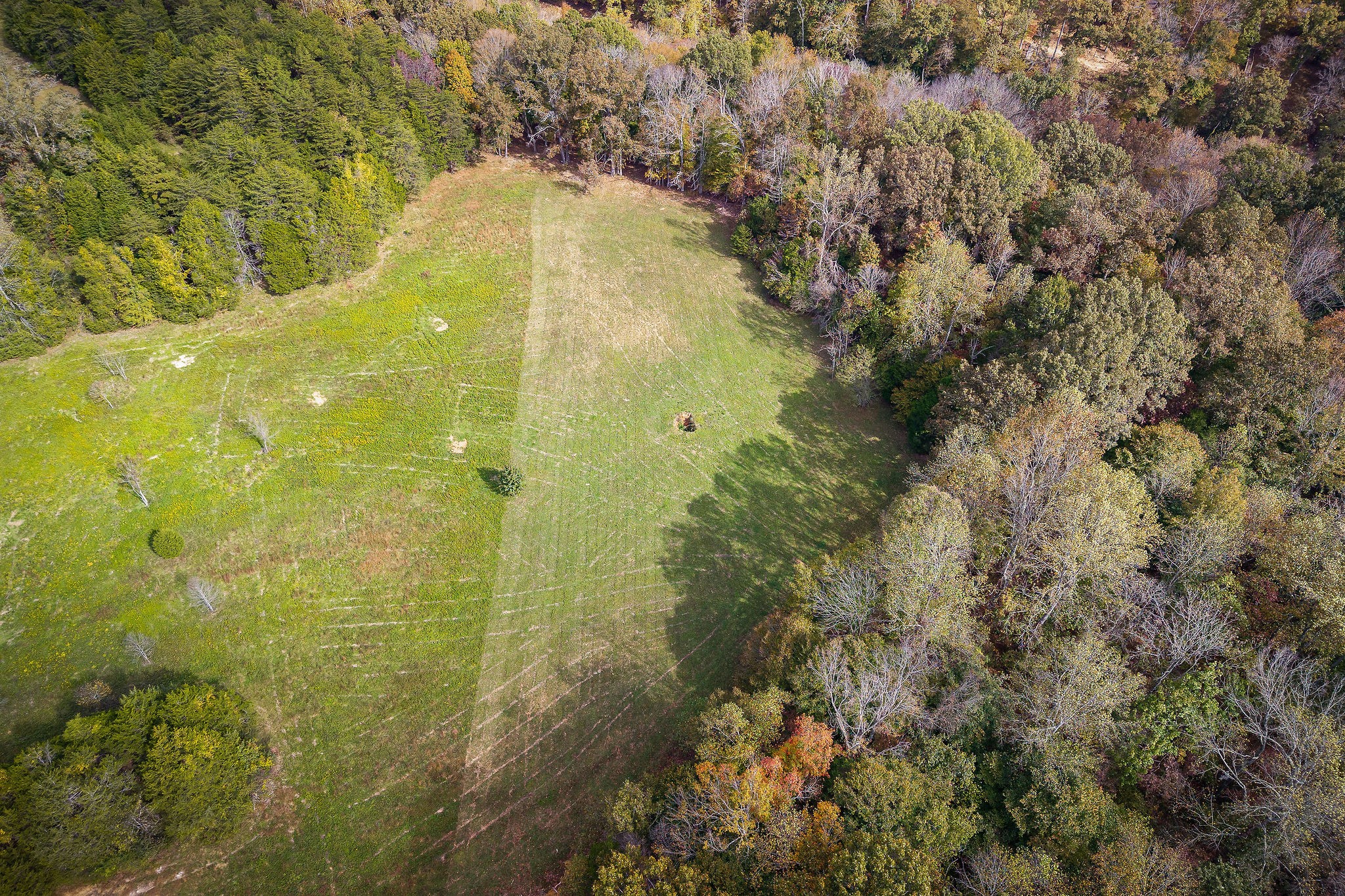 0 Goodbar Road Rock Island, TN 38581 - Photo 16 of 41 Gallery Image 16