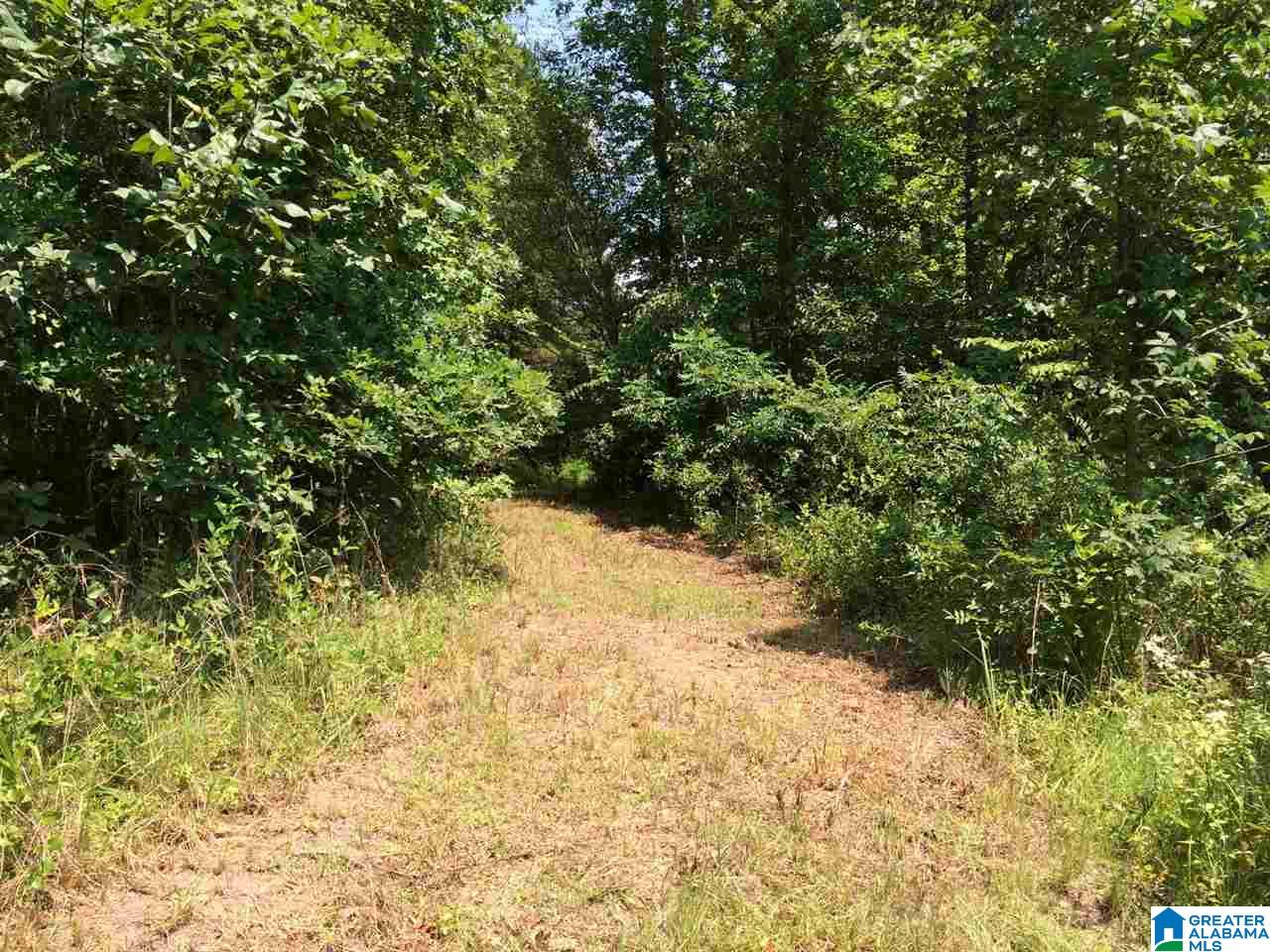 Spunky Hollow Road, Unit 18 7 Oneonta, AL 35121 - Photo 14 of 46