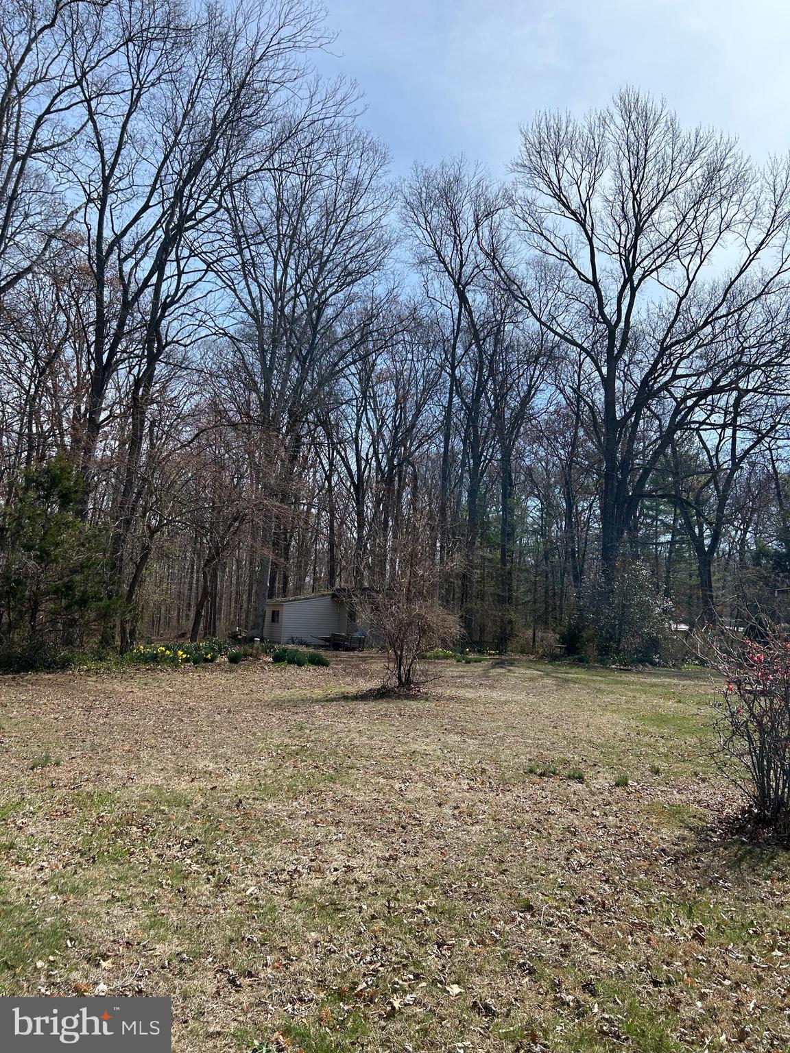 124 Karl Drive Dover, DE 19901 - Photo 53 of 58