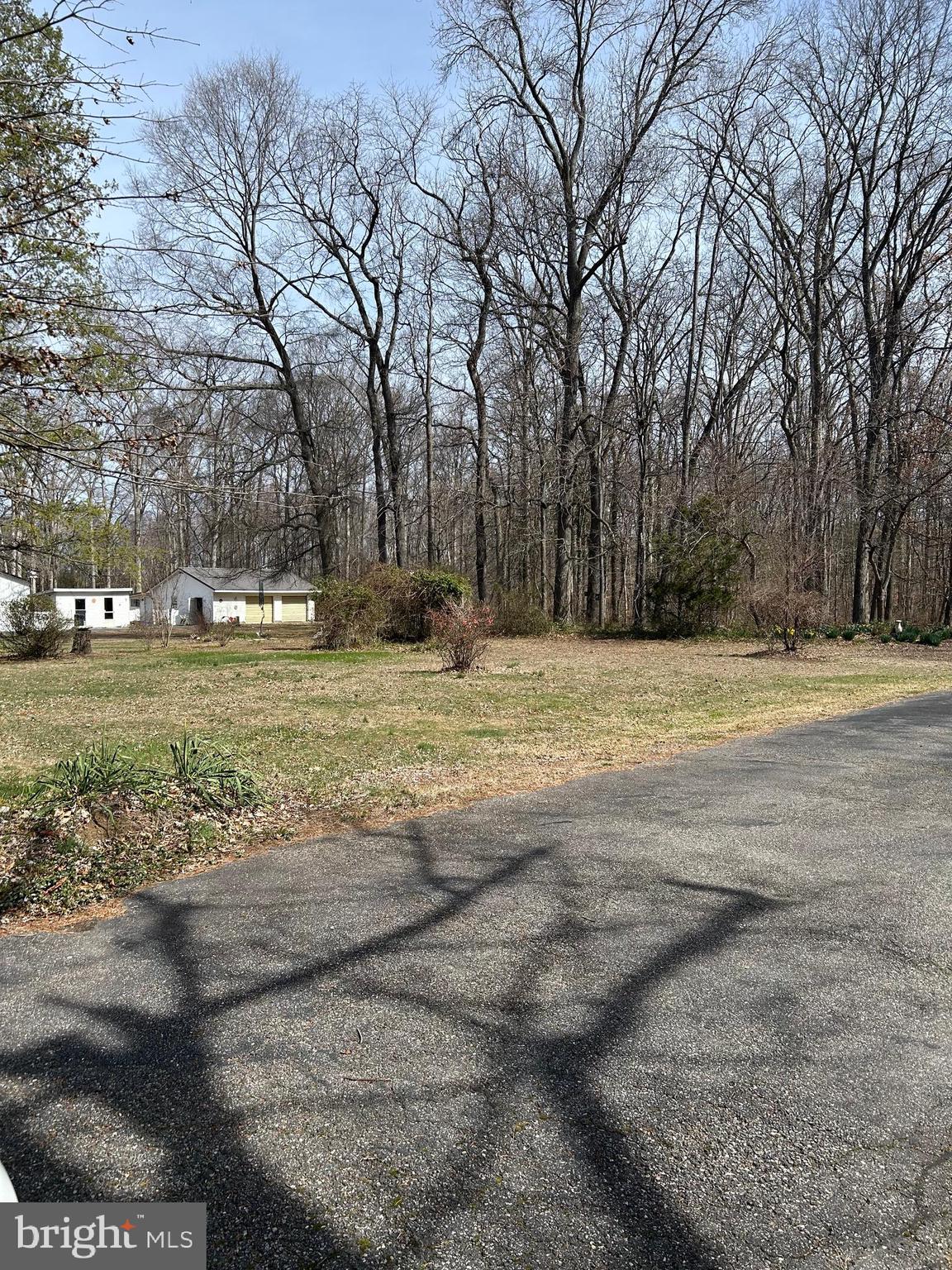 124 Karl Drive Dover, DE 19901 - Photo 55 of 58 a view of a yard with a tree