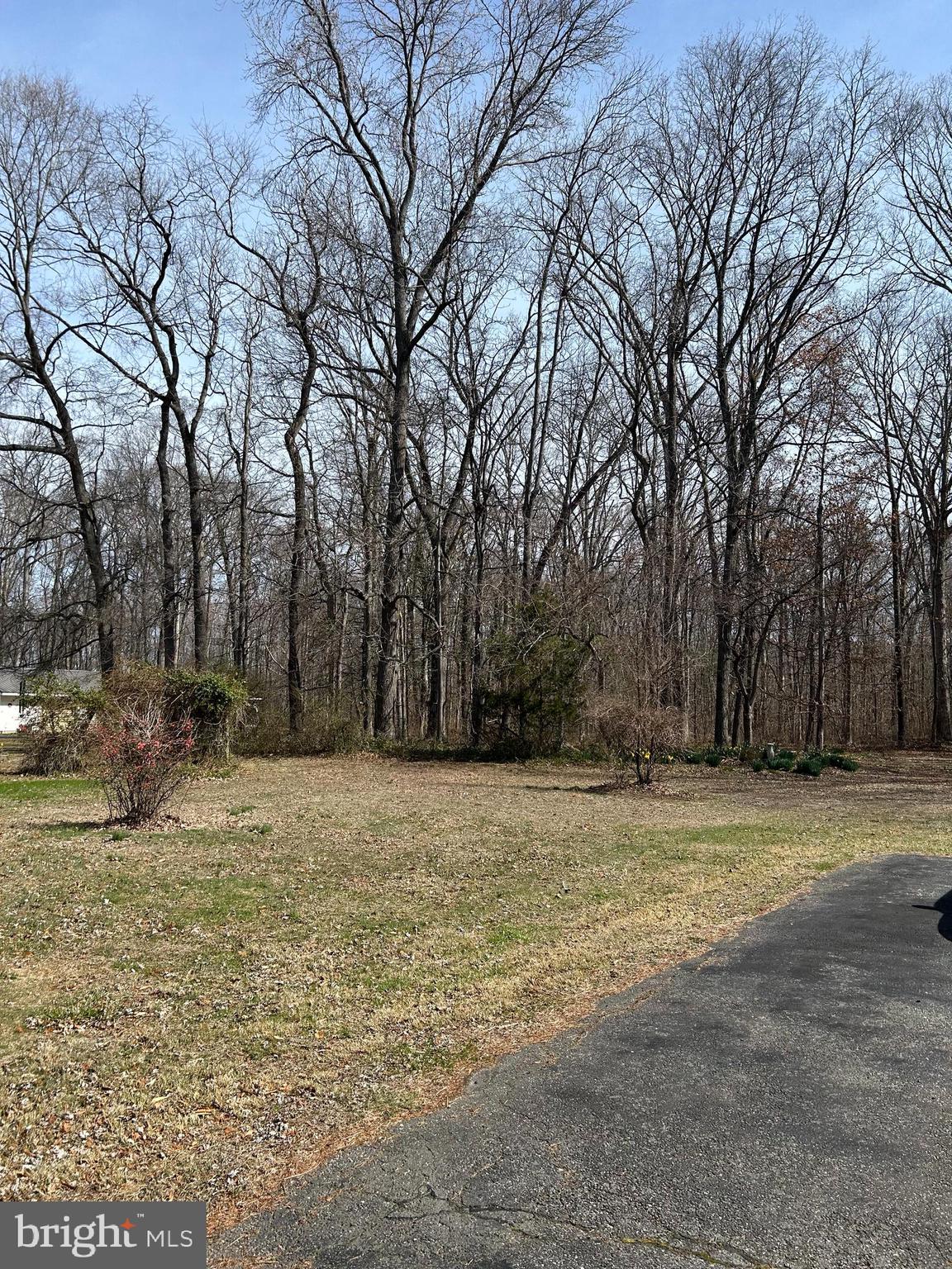 124 Karl Drive Dover, DE 19901 - Photo 58 of 58 a view of a yard with large trees