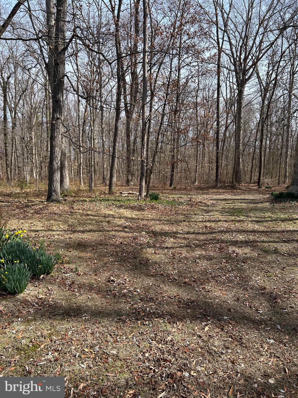 124 Karl Drive Dover, DE 19901 - Photo 7 of 58