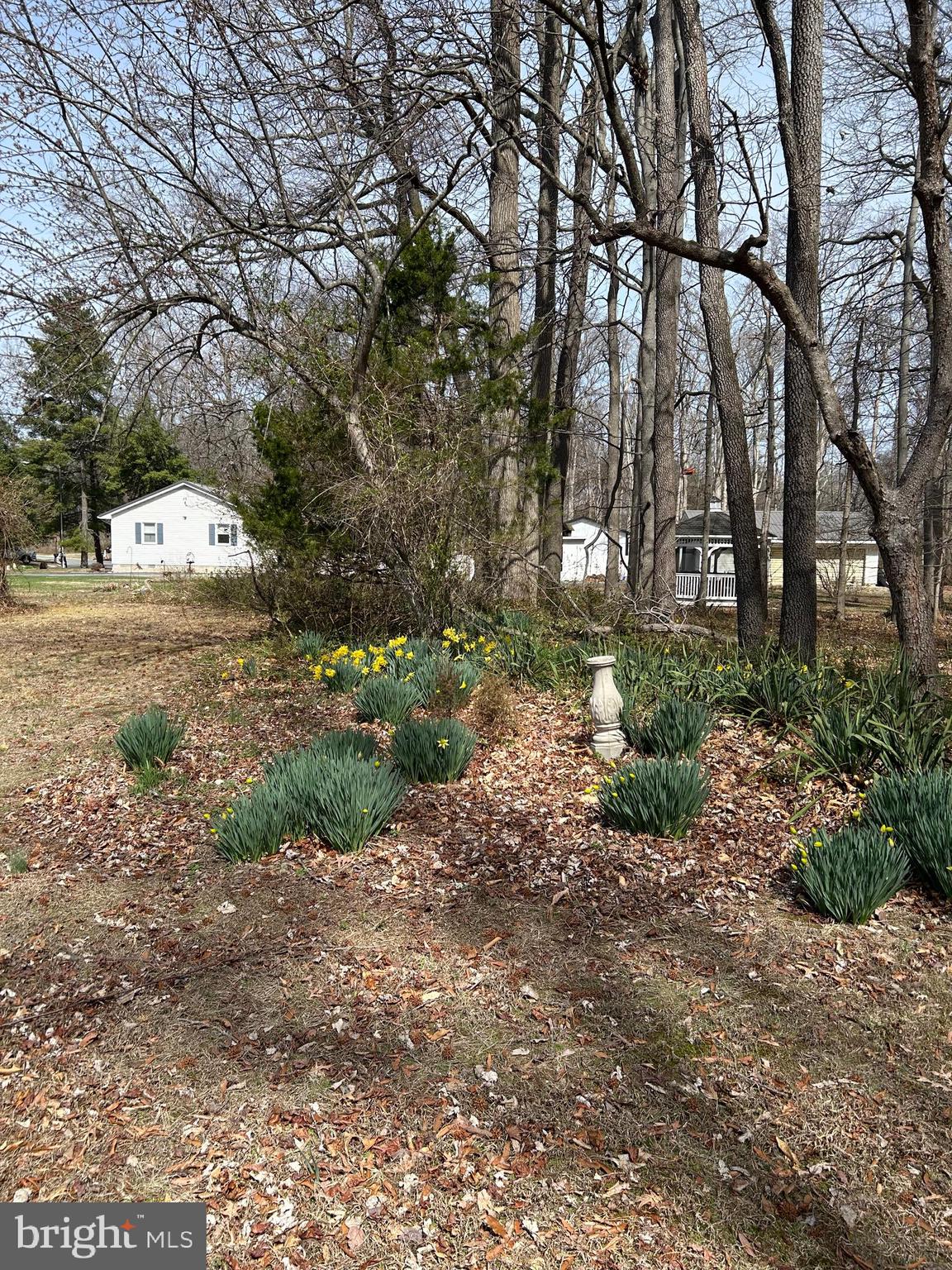 124 Karl Drive Dover, DE 19901 - Photo 9 of 58 a view of a outdoor space