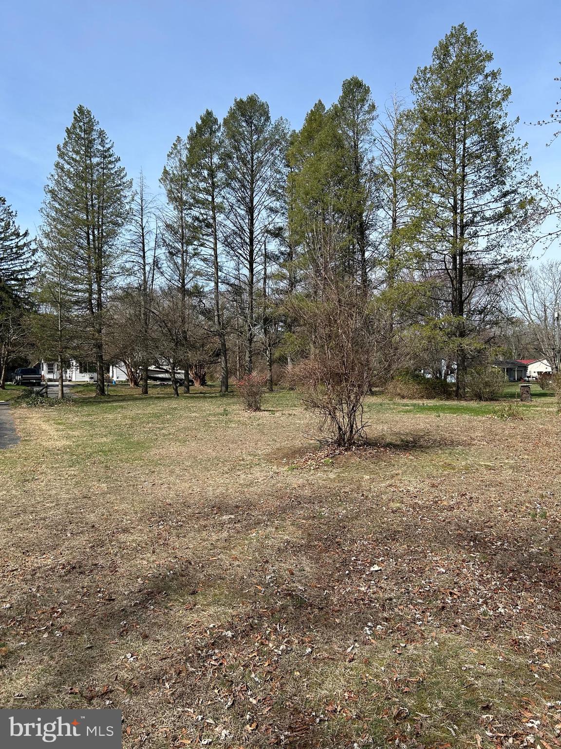 124 Karl Drive Dover, DE 19901 - Photo 10 of 58 a view of outdoor space with trees