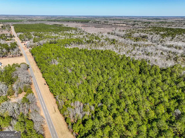 $245,000 | 0 Buckeye Road, Tennille, GA 31089