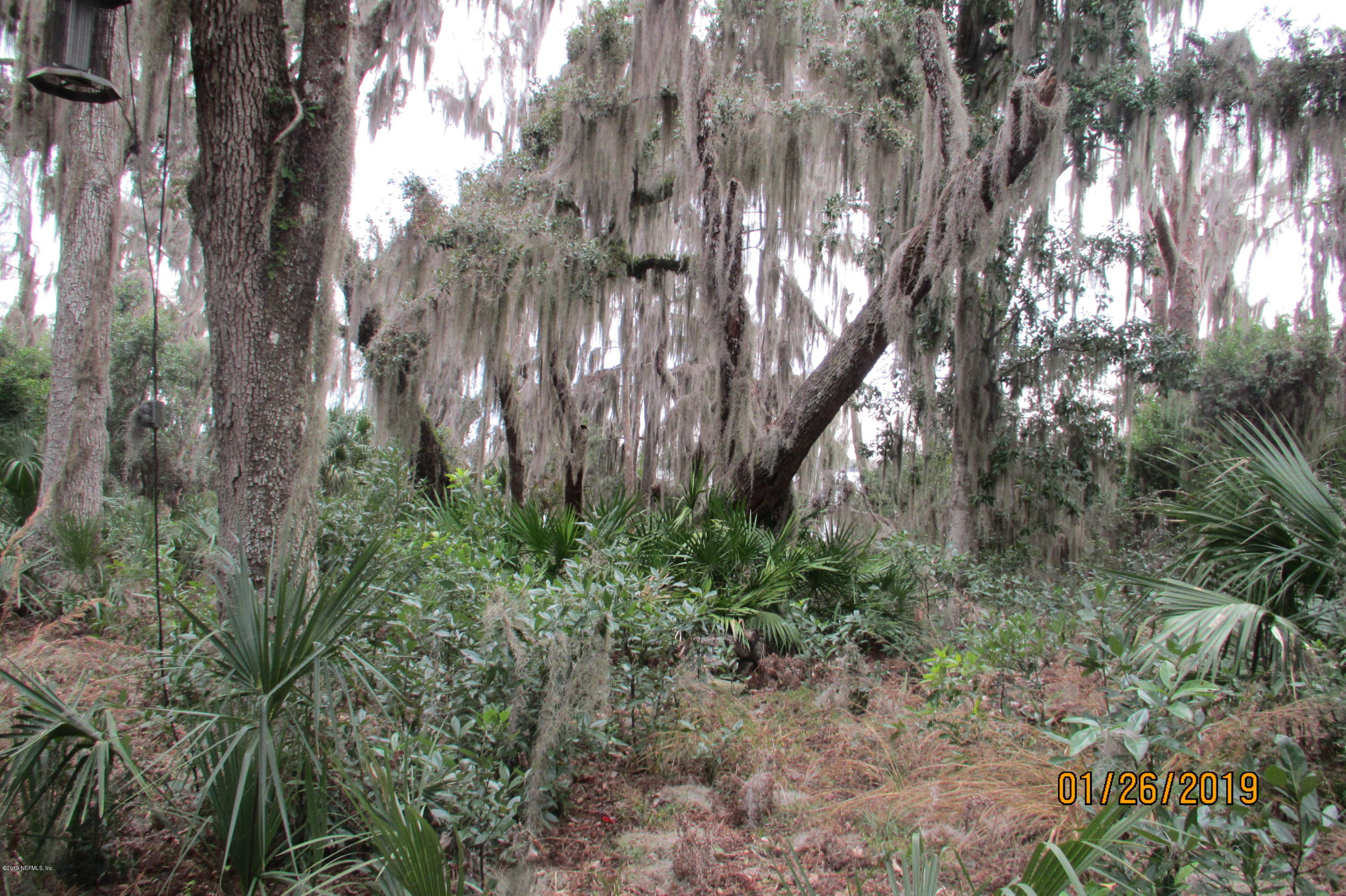 131 Anhinga Road Georgetown, FL 32139 - Photo 9 of 13 IMG_5156