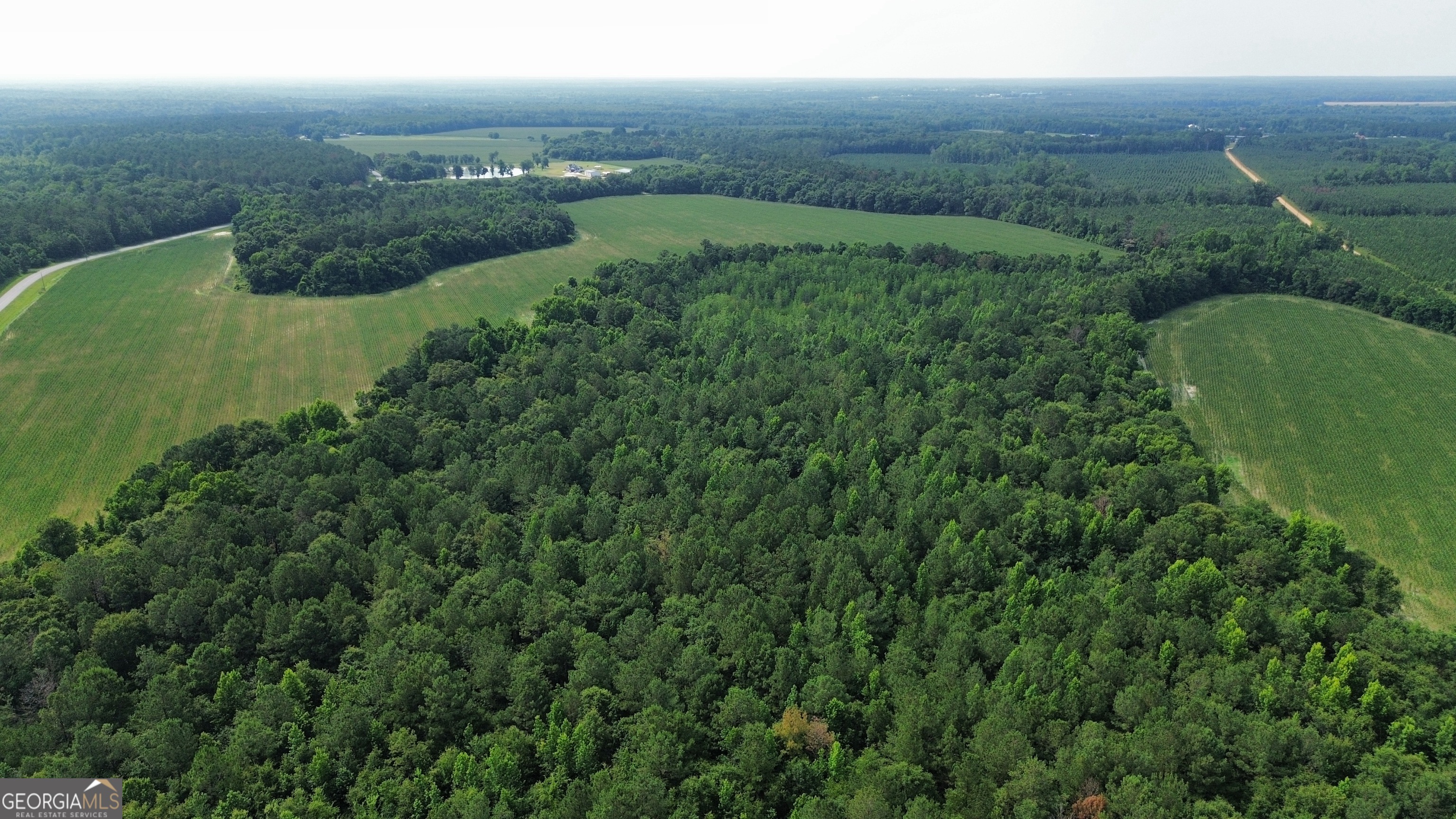 1665 Walke Dairy Road Dublin, GA 31021 - Photo 31 of 94