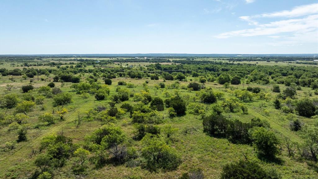 1032 Goodnight Trail Perrin, TX 76486 - Photo 13 of 18