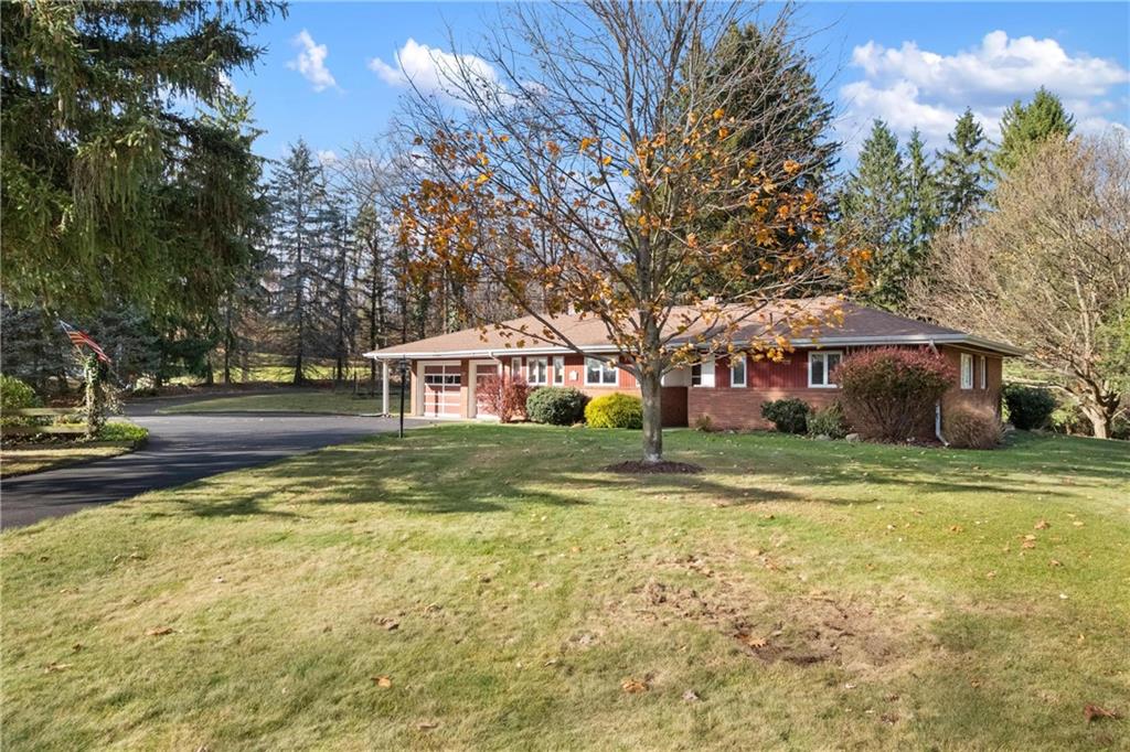 101 Bocktown Road Aliquippa, PA 15001 - Photo 7 of 39 Gallery Image 7