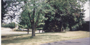 204 Dempster Road Rockford, IL 61108 - Photo 5 of 5 Gallery Image 5