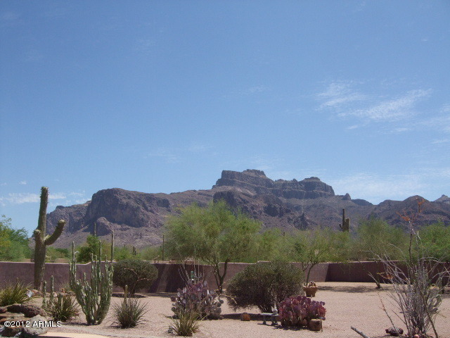377 South Prospectors Road Apache Junction, AZ 85119 - Photo 18 of 43 MOUNTAIN VIEWS