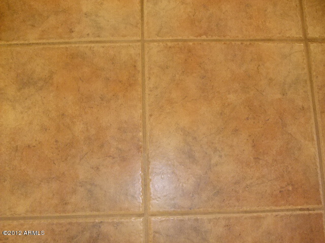377 South Prospectors Road Apache Junction, AZ 85119 - Photo 28 of 43 TILE FLOORING