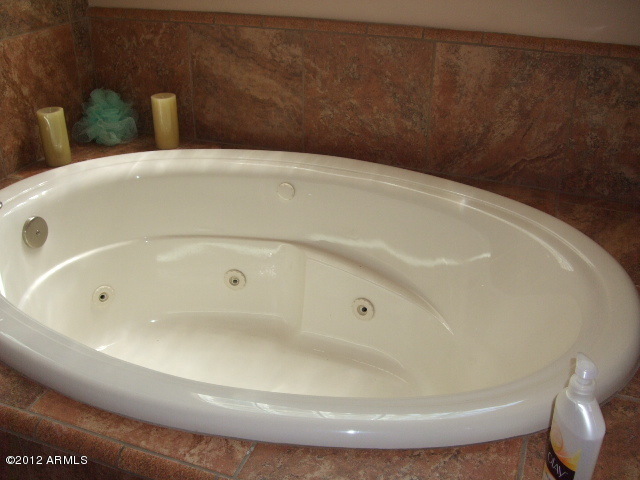 377 South Prospectors Road Apache Junction, AZ 85119 - Photo 38 of 43 JETTED TUB IN MASTER BATH