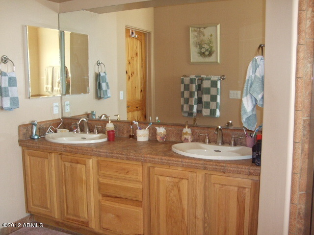 377 South Prospectors Road Apache Junction, AZ 85119 - Photo 39 of 43 DUAL SINKS IN MASTER BATH
