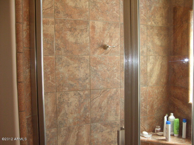 377 South Prospectors Road Apache Junction, AZ 85119 - Photo 40 of 43 TILED SHOWER IN MASTER BATH