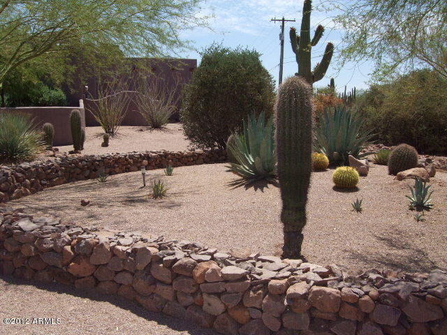 ANOTHER VIEW OF FRONT YARD