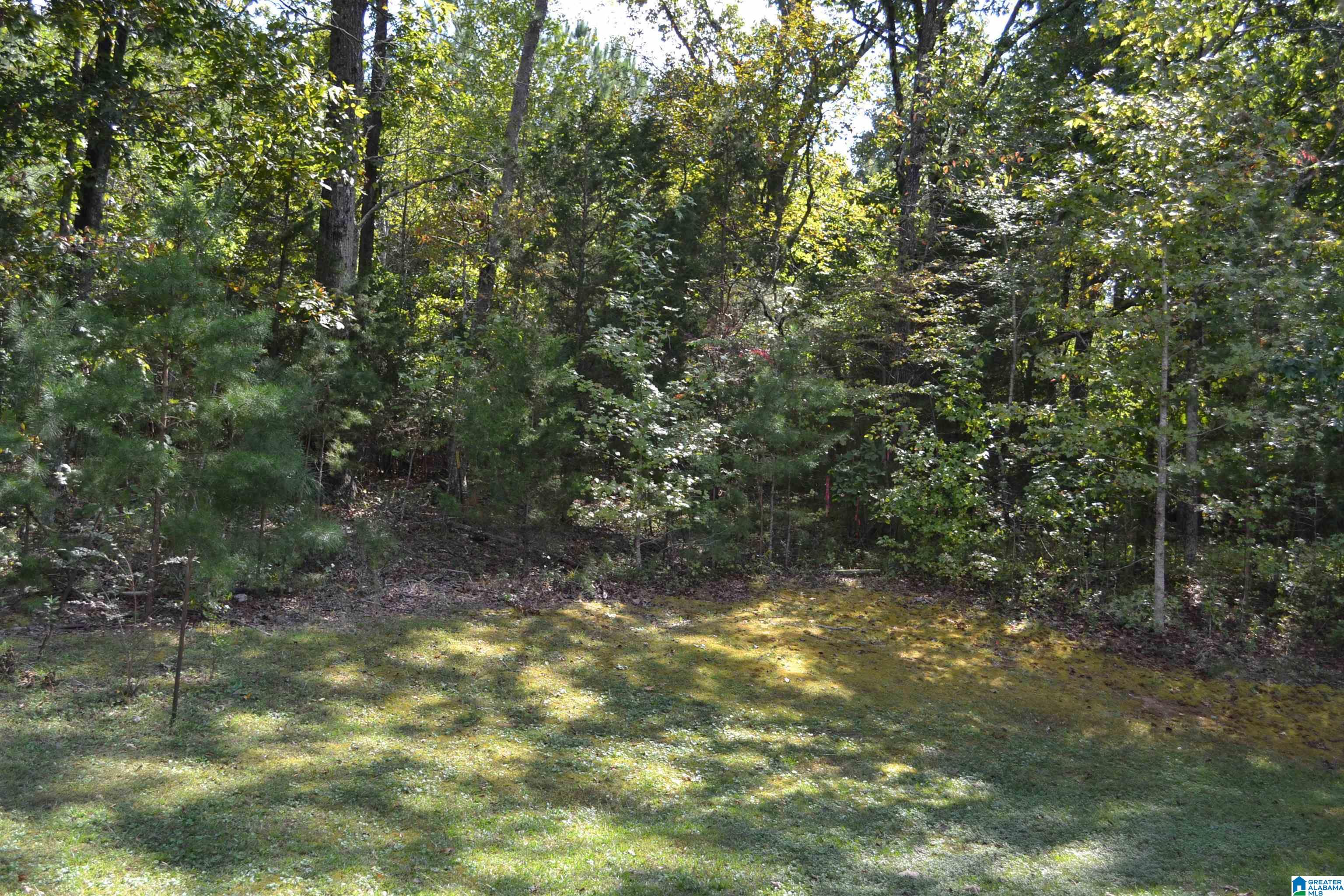4348 Red Valley Road Remlap, AL 35133 - Photo 66 of 69