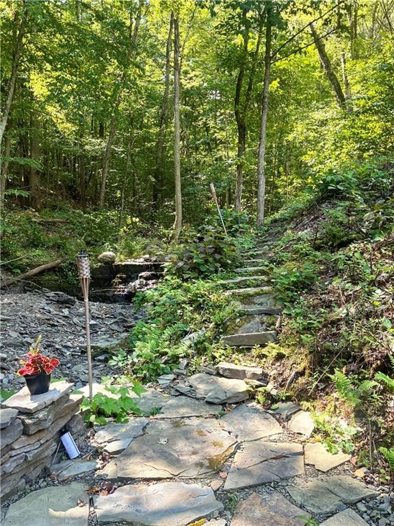 9894 Mountain Road Urbana, NY 14840 - Photo 12 of 37