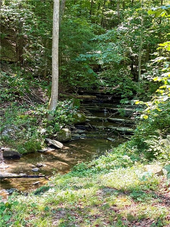 9894 Mountain Road Urbana, NY 14840 - Photo 13 of 37