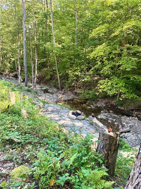 9894 Mountain Road Urbana, NY 14840 - Photo 14 of 37