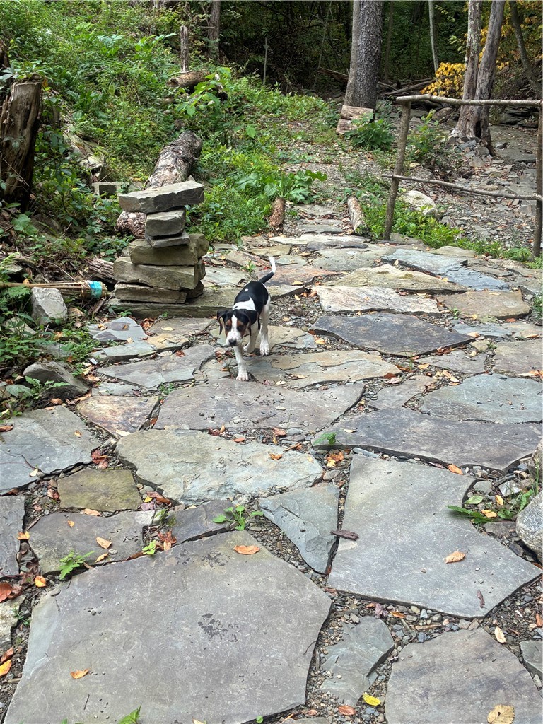 9894 Mountain Road Urbana, NY 14840 - Photo 36 of 37