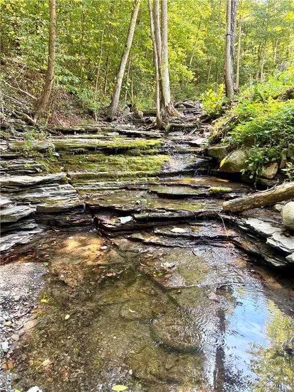 9894 Mountain Road Urbana, NY 14840 - Photo 10 of 37