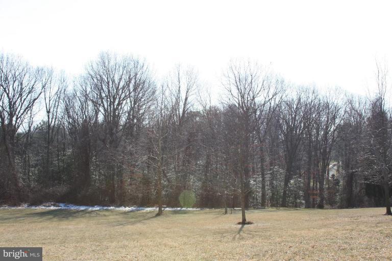 Wooded View / Acreage