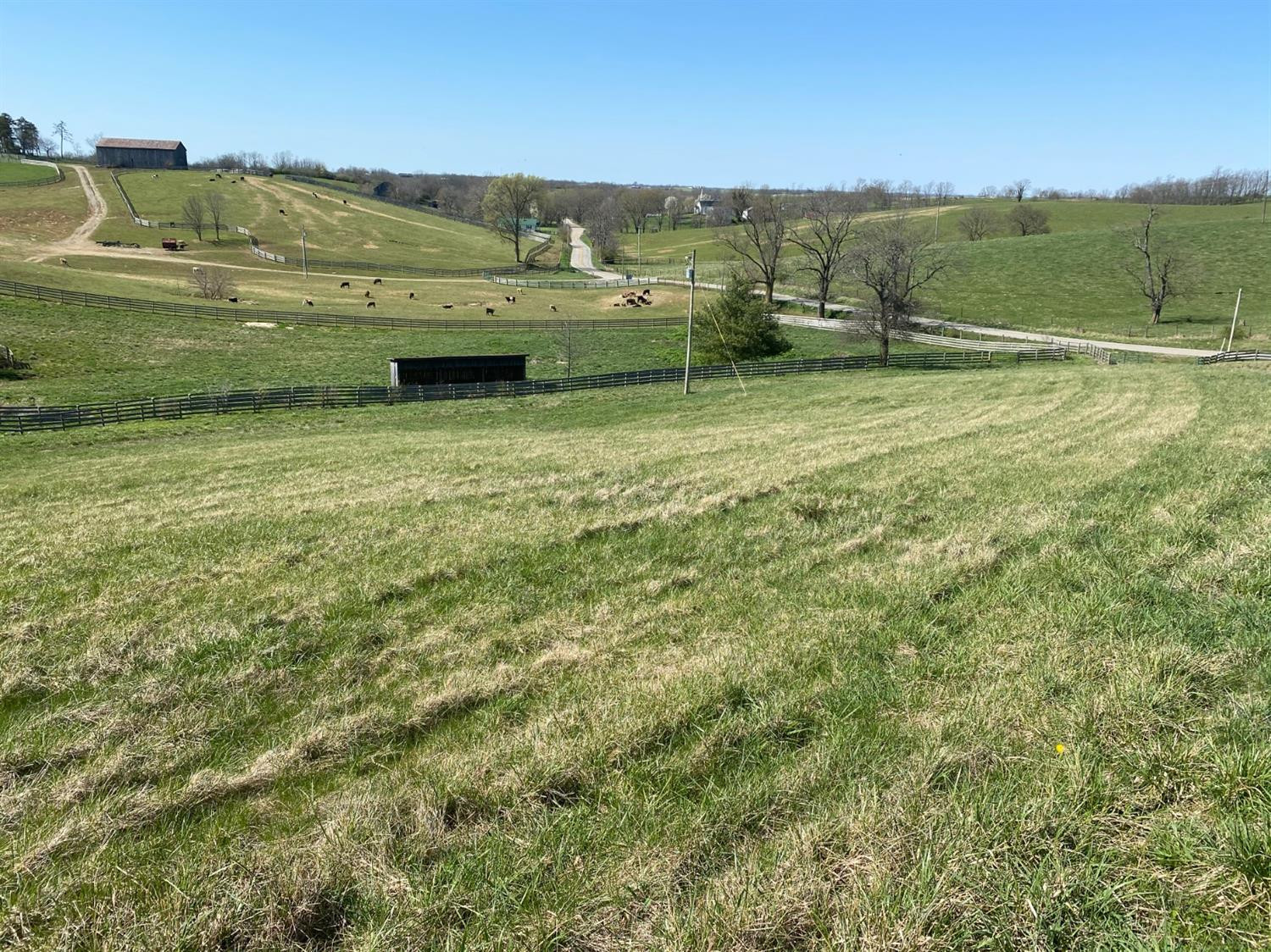 3450 Cane Ridge Road Paris, KY 40361 - Photo 69 of 72 Photo 69
