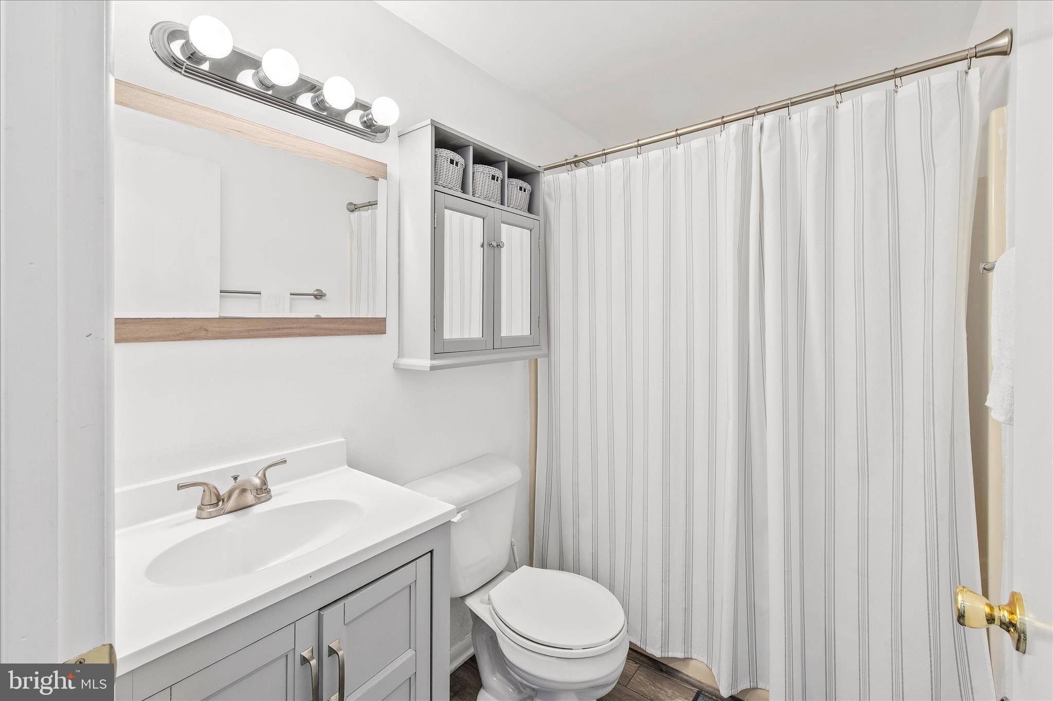 21406 Dogwood Cove Road Tilghman, MD 21671 - Photo 30 of 68 a bathroom with a sink vanity mirror and toilet