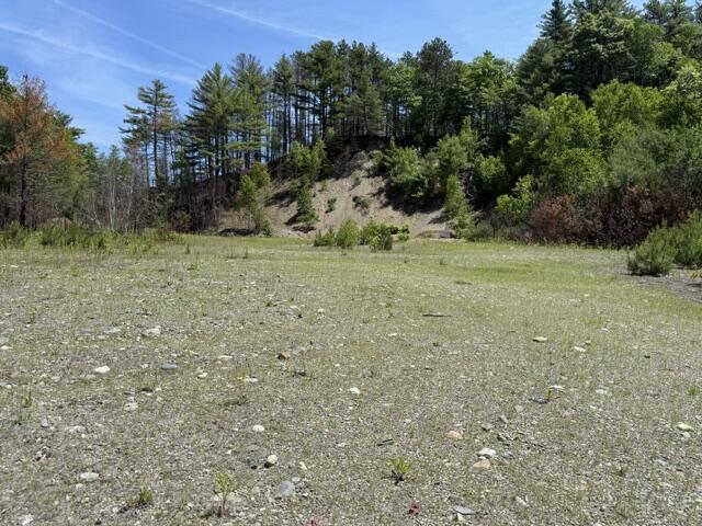 Lot 5-10 Charlotte Road Charlotte, ME 04666 - Photo 4 of 24 IMG_1697 (1)