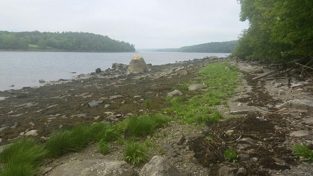 1199 Castine Road Orland, ME 04472 - Photo 33 of 35 Photo