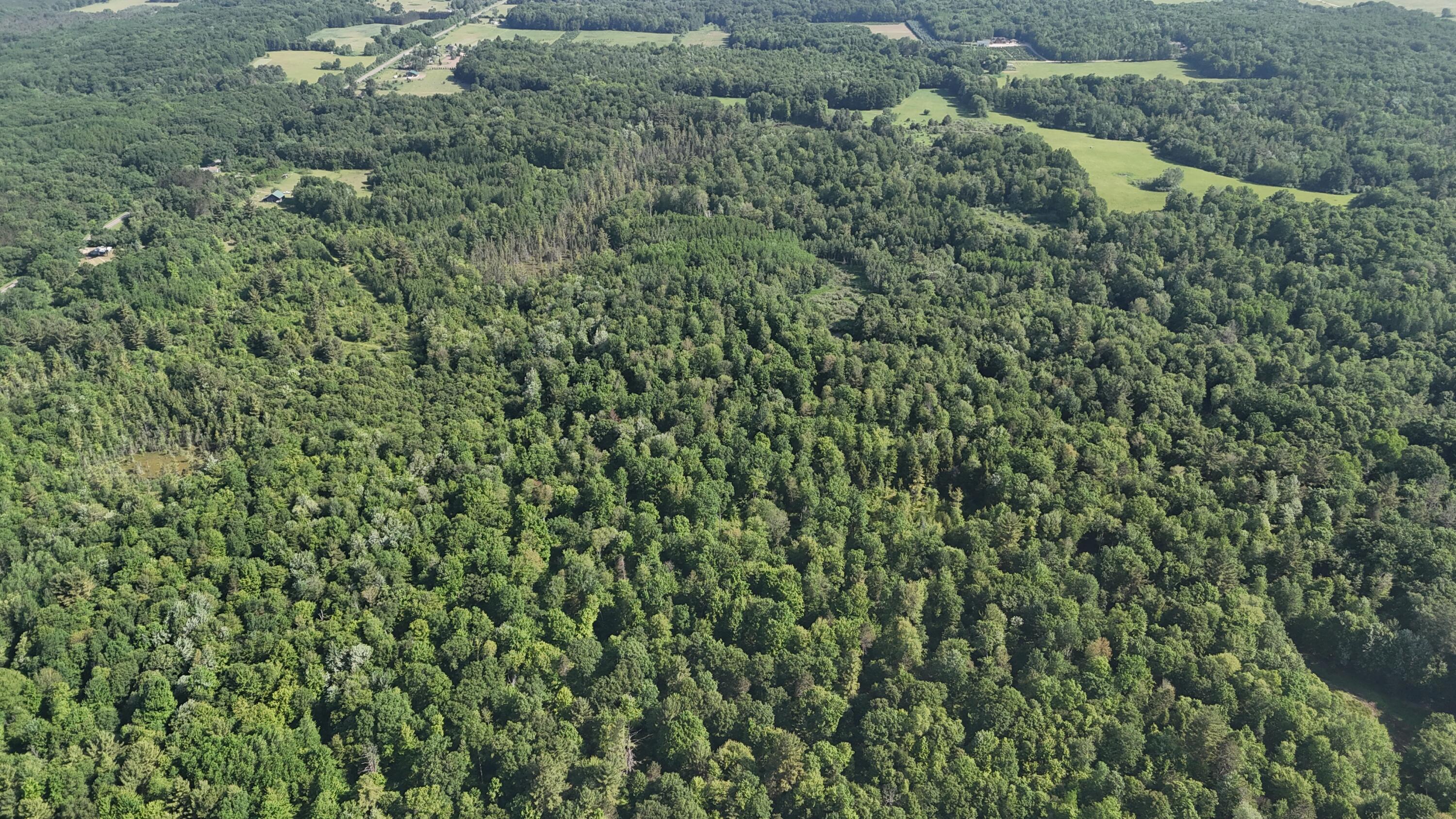 Dickson Road Brethren, MI 49619 - Photo 4 of 27 dji_fly_20250617_100828_0576_17501698459