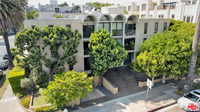 a view of a garden with plants