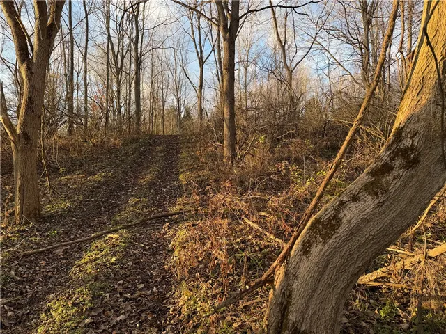 $199,000 | Benson, Victor, NY 14564