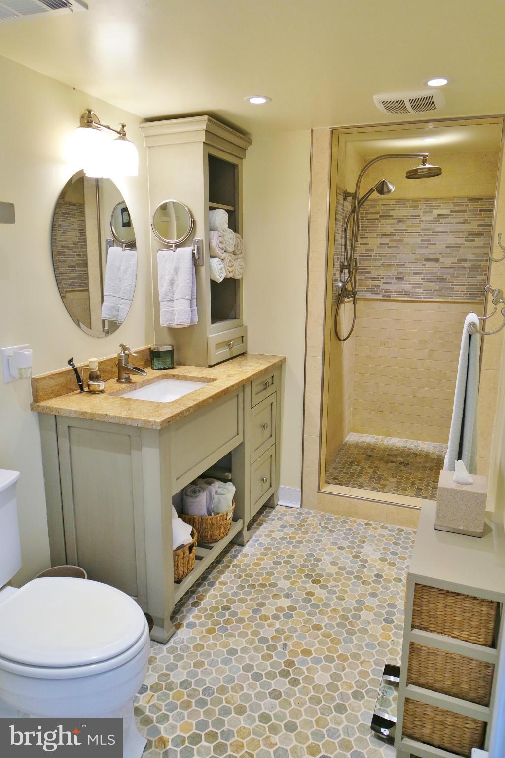 3100 Morning Star Road Mount Jackson, VA 22842 - Photo 24 of 30 Full Bath - Stunning Tile Work
