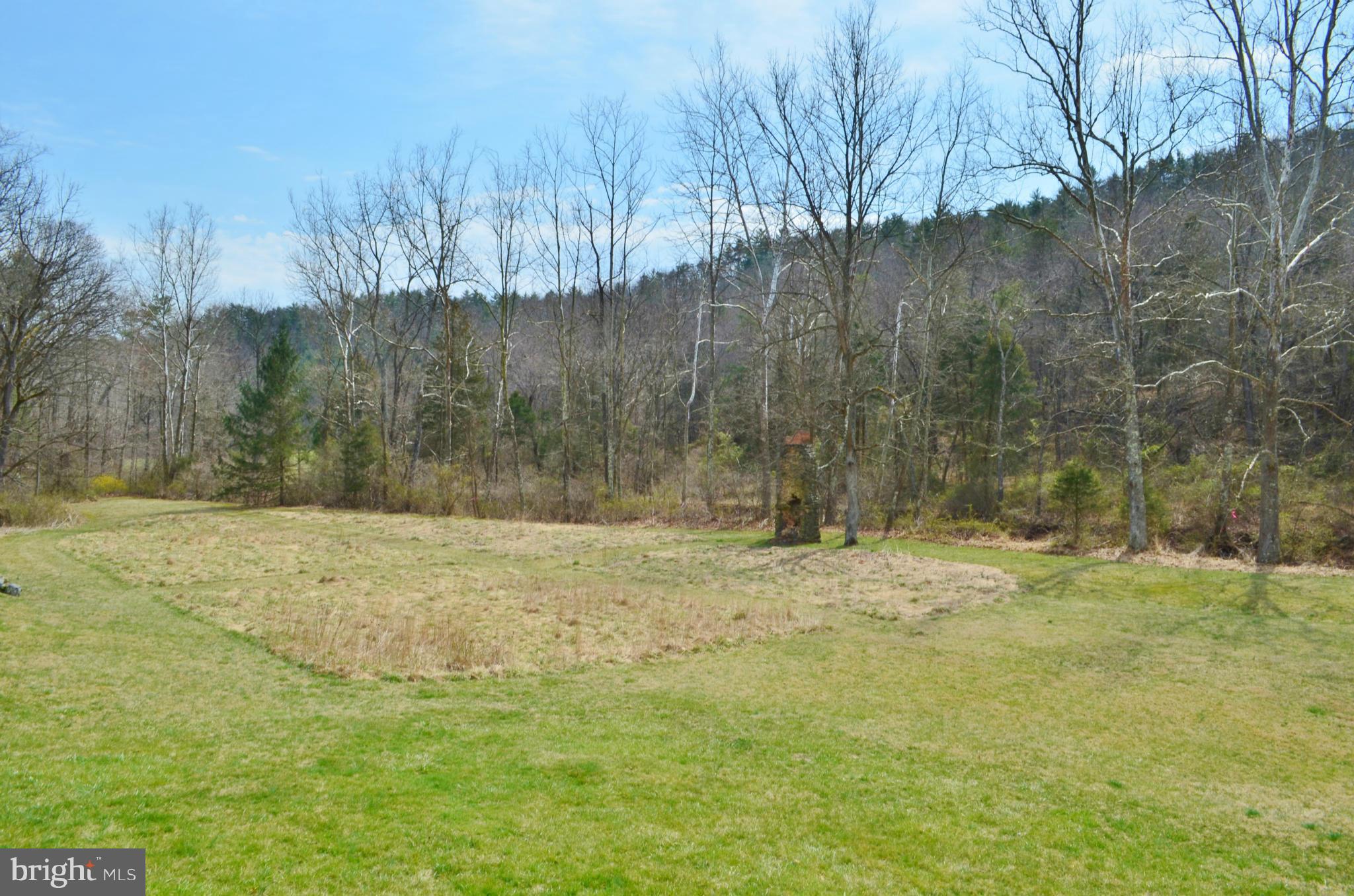 3100 Morning Star Road Mount Jackson, VA 22842 - Photo 29 of 30 Large Field for Gardening, Recreation, Livestock