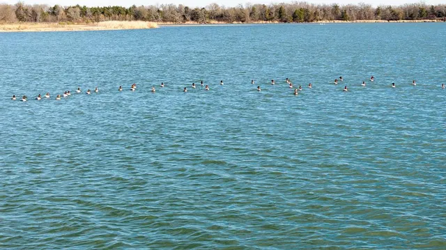 $1,641,600 | 33060 County Line Road, Sumner, TX 75486