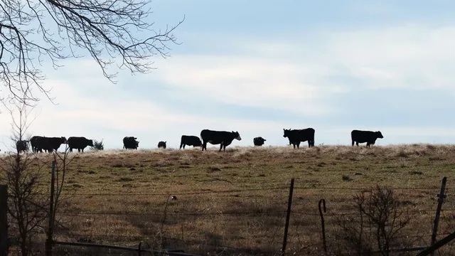 $1,641,600 | 33060 County Line Road, Sumner, TX 75486