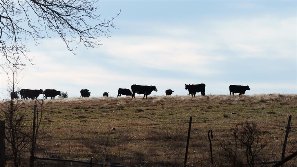 33060 County Line Road Sumner, TX 75486 - Photo 17 of 40