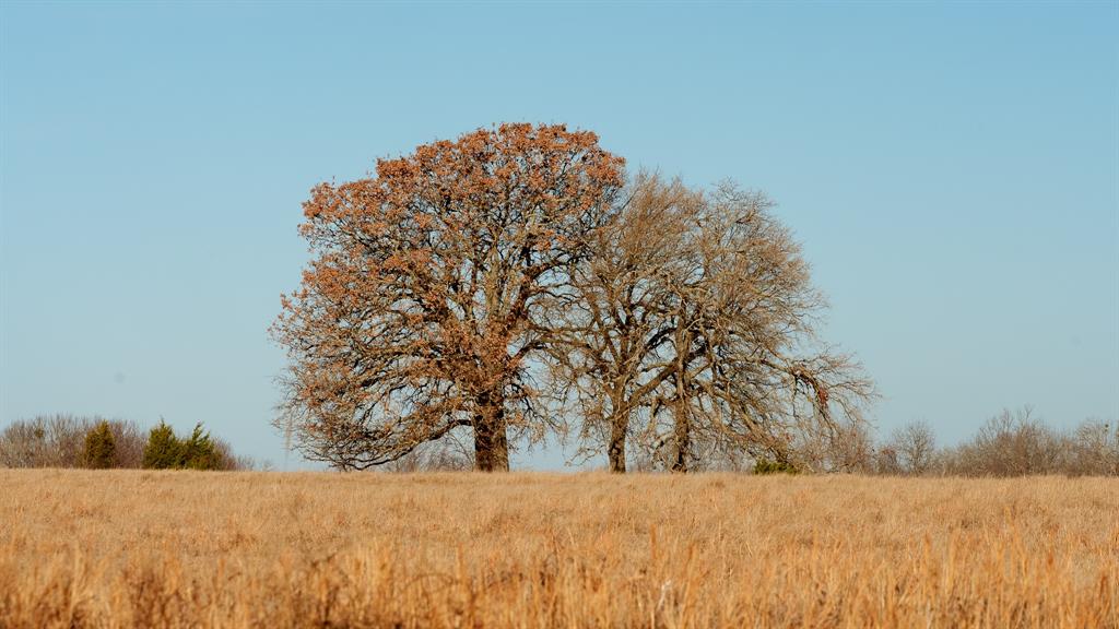 33060 County Line Road Sumner, TX 75486 - Photo 26 of 40