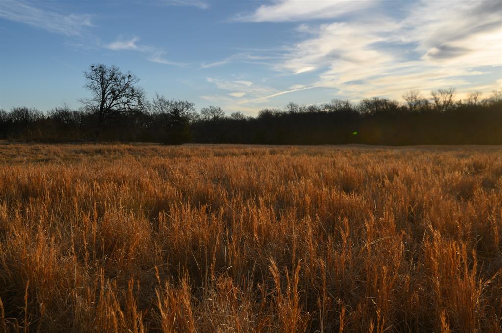 33060 County Line Road Sumner, TX 75486 - Photo 27 of 40