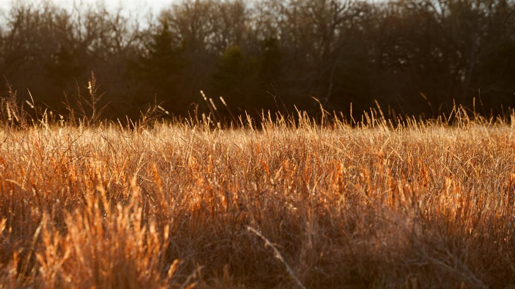 33060 County Line Road Sumner, TX 75486 - Photo 29 of 40