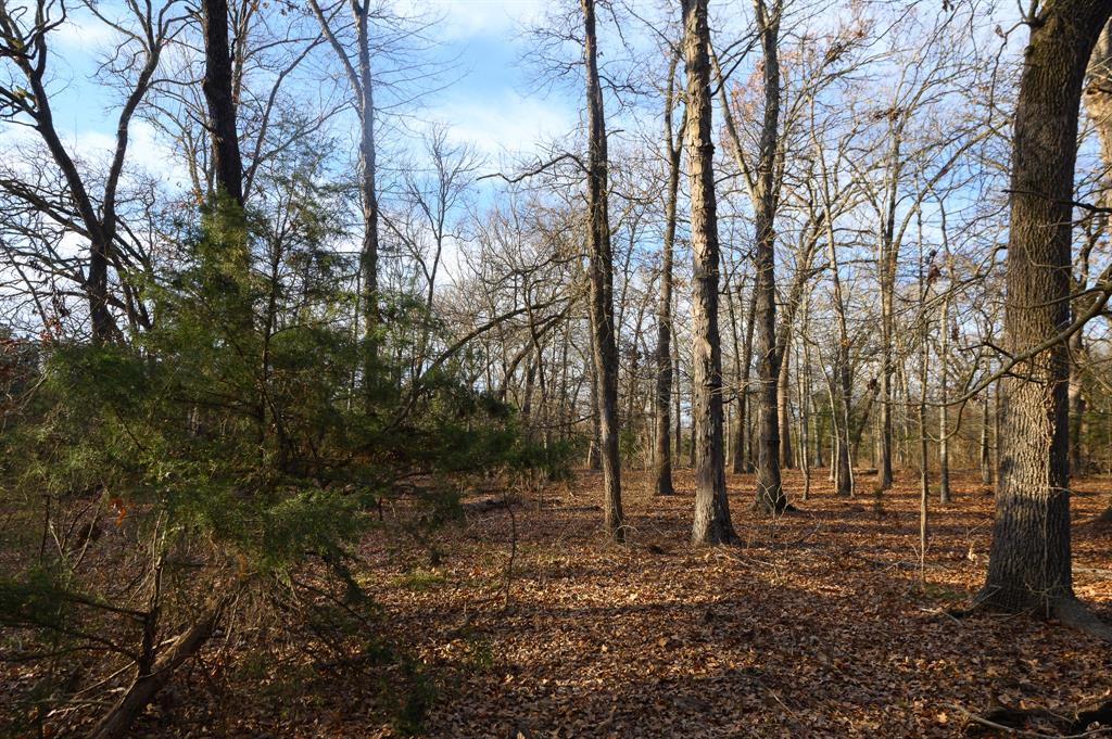 33060 County Line Road Sumner, TX 75486 - Photo 31 of 40