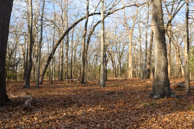 $1,641,600 | 33060 County Line Road, Sumner, TX 75486