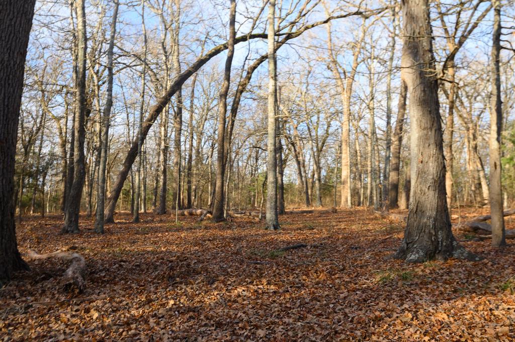 33060 County Line Road Sumner, TX 75486 - Photo 32 of 40