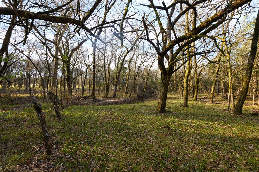 33060 County Line Road Sumner, TX 75486 - Photo 35 of 40