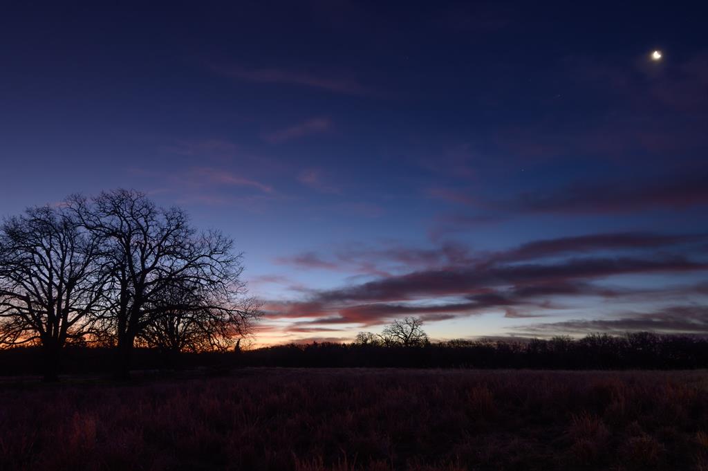 33060 County Line Road Sumner, TX 75486 - Photo 40 of 40