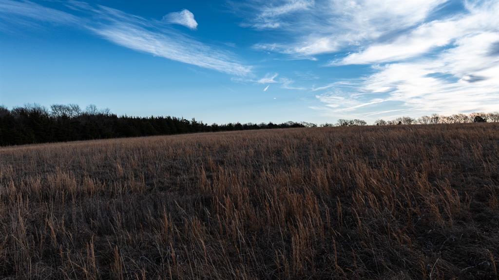 33060 County Line Road Sumner, TX 75486 - Photo 10 of 40